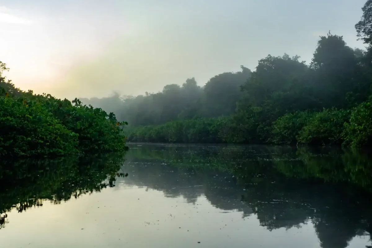 Suriname-kayak-maratakka-3