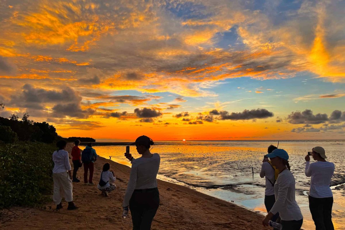 Swamp-Tour-Suriname 1