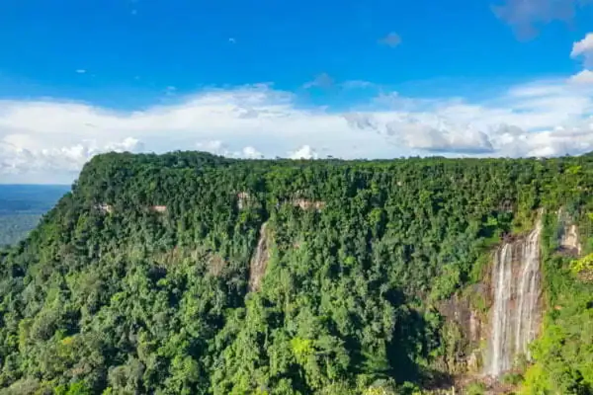Table Mountain Jungle Trek Expedition (Suriname) 3