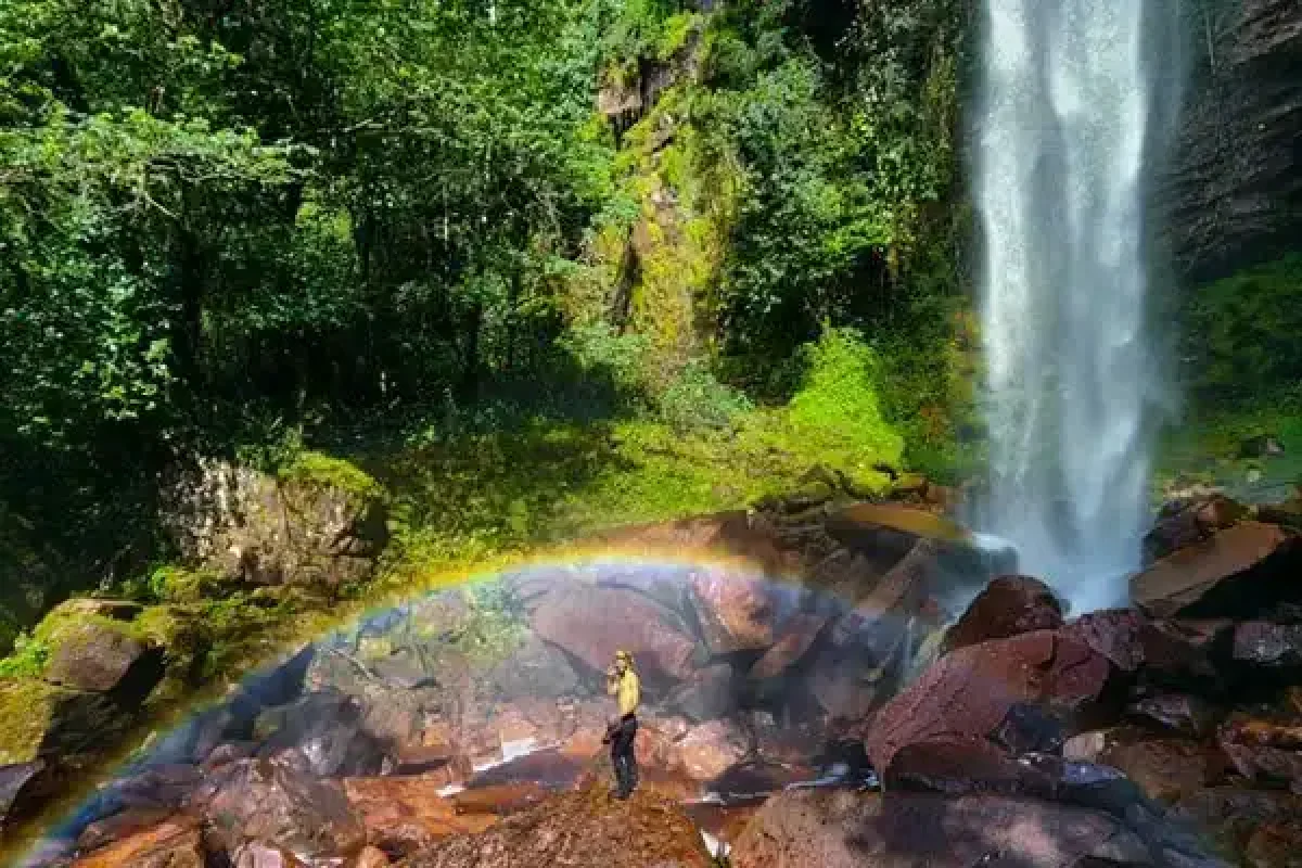 Table Mountain Jungle Trek Expedition (Suriname) 6