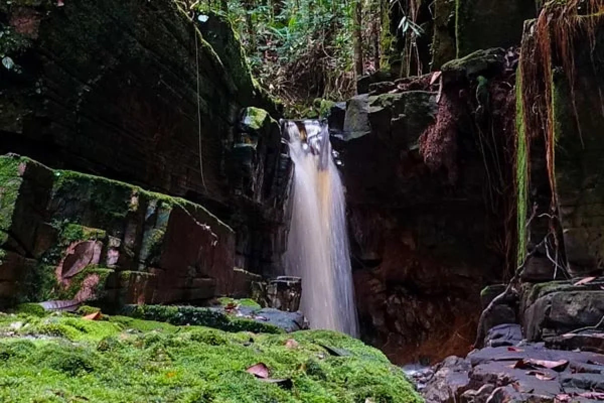 Table Mountain Jungle Trek Expedition (Suriname) 8