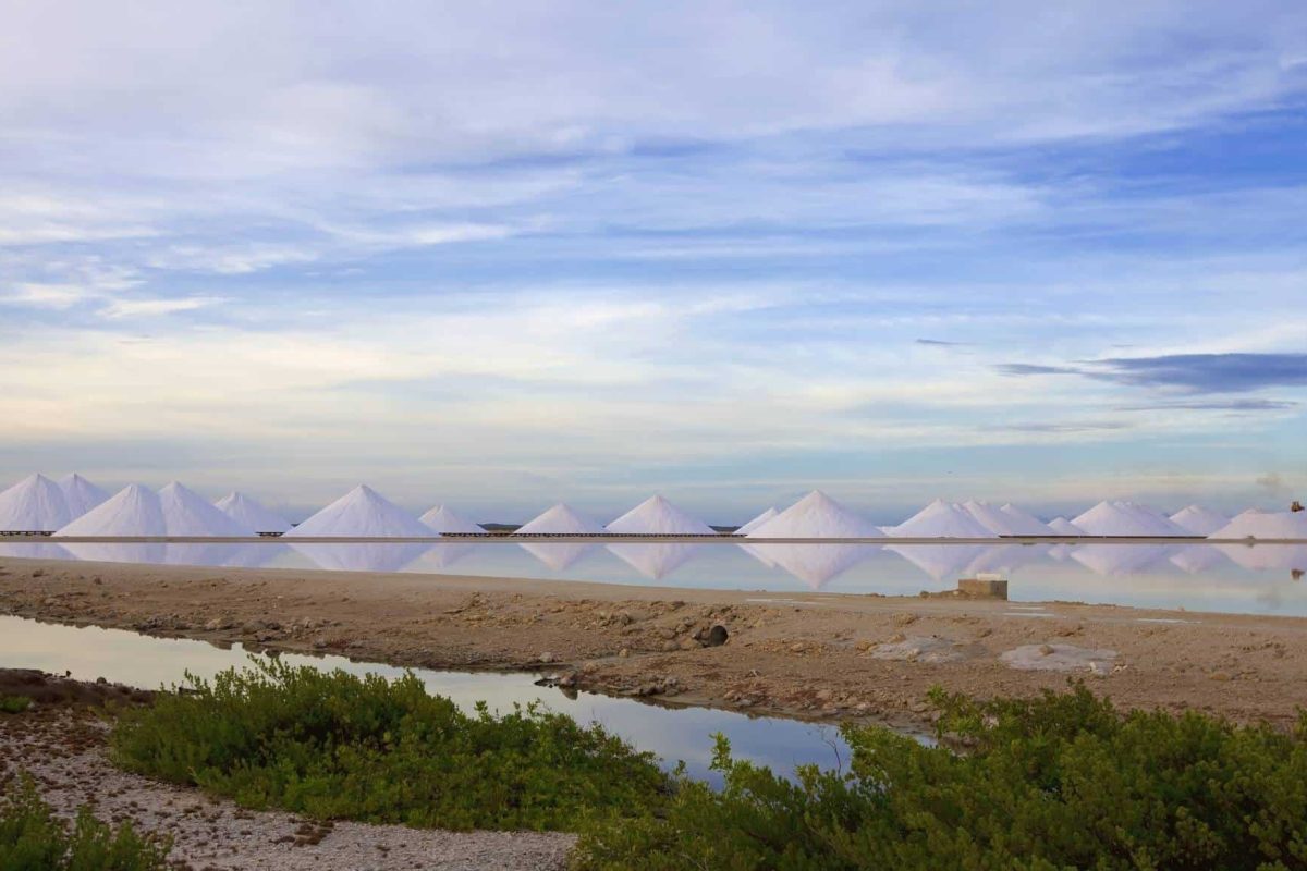 Full Island Tour Bonaire 4