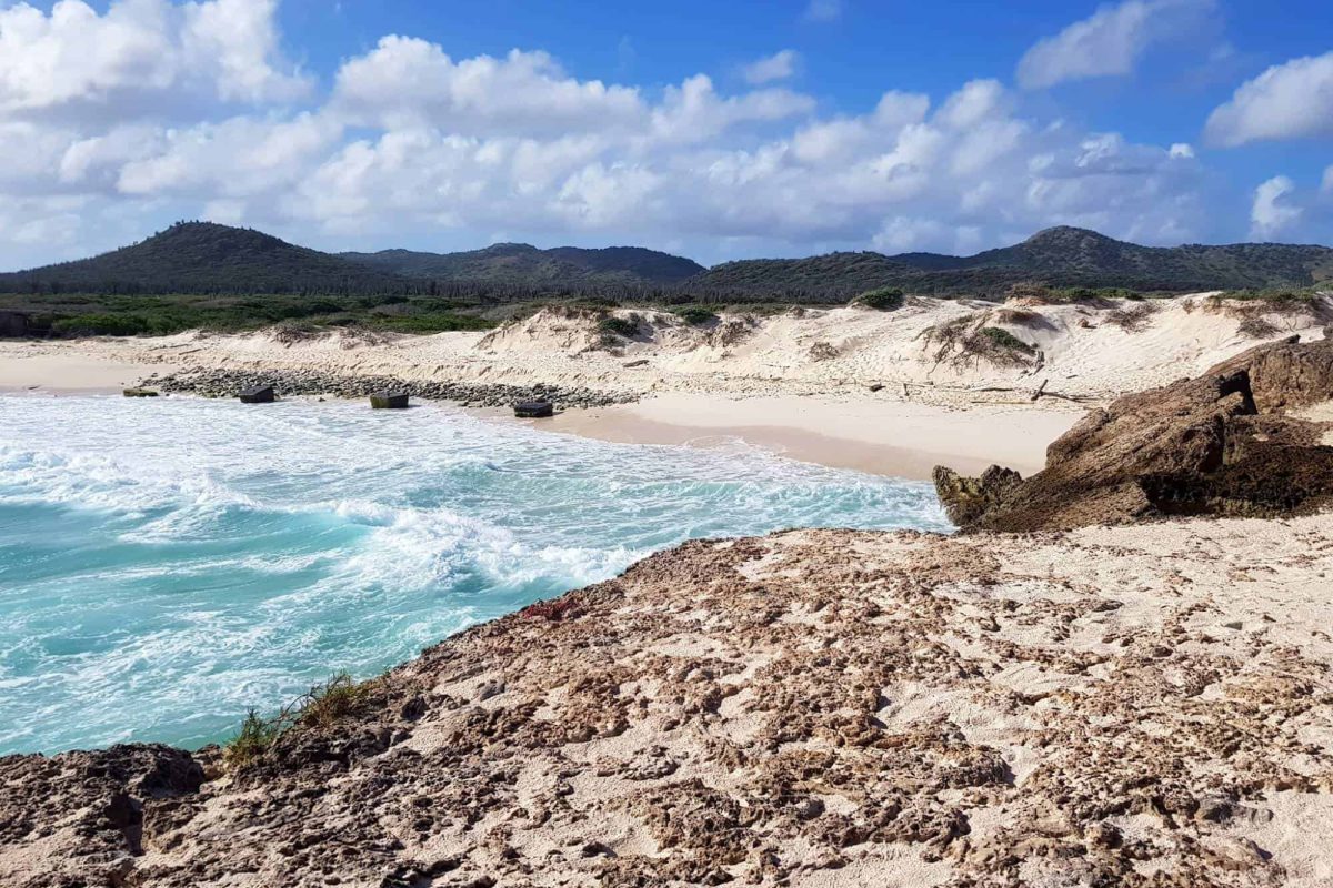 Ruta al Parque Nacional Washington-Slagbaai Bonaire 1