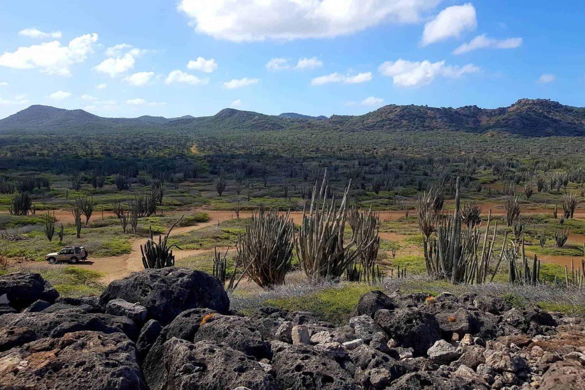 Ruta por el Parque Nacional Washington-Slagbaai Bonaire 3