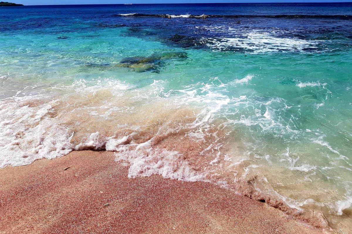 Visita al parque nacional Washington-Slagbaai Bonaire 4