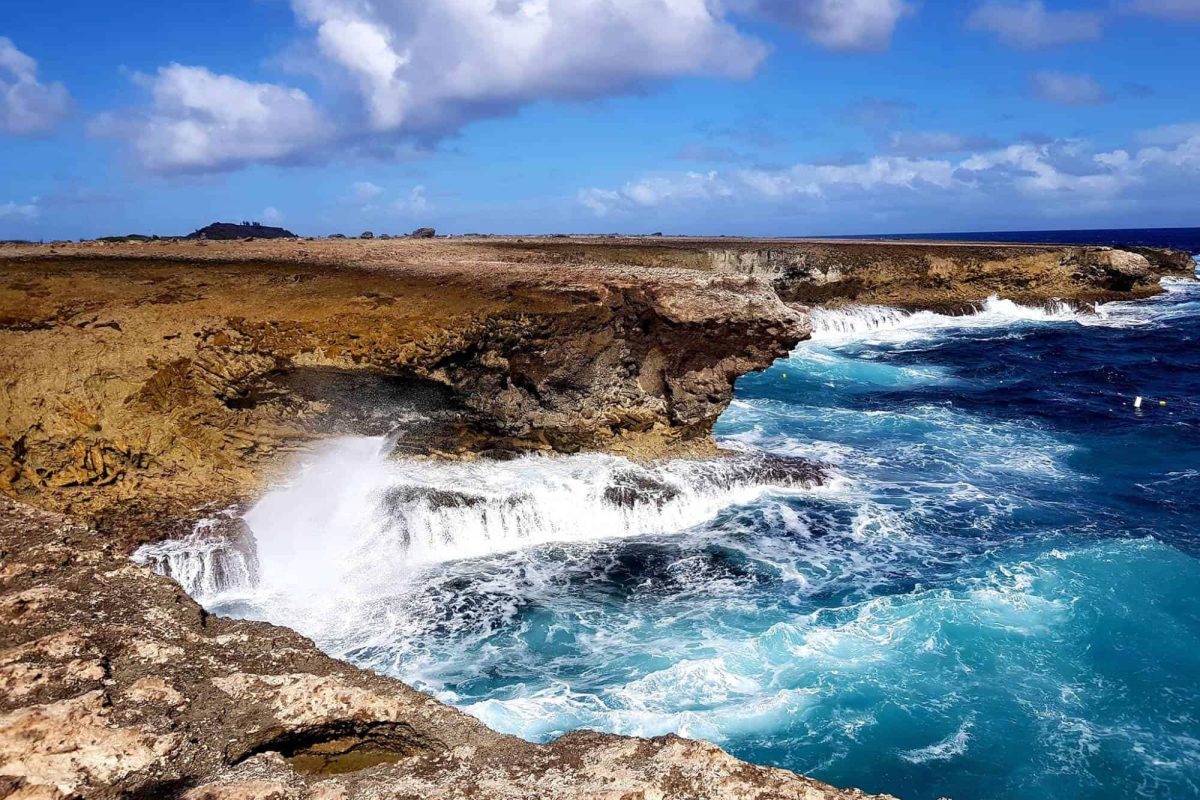 Visita al parque nacional Washington-Slagbaai Bonaire 8