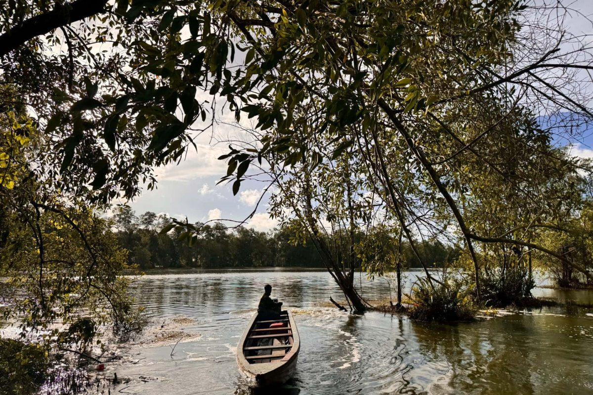 Wetland Swamptour – Lotus Valley Short Route 1