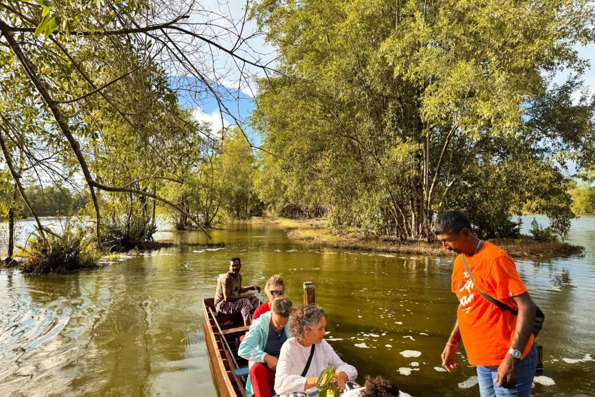 Wetland Swamptour – Lotus Valley Short Route