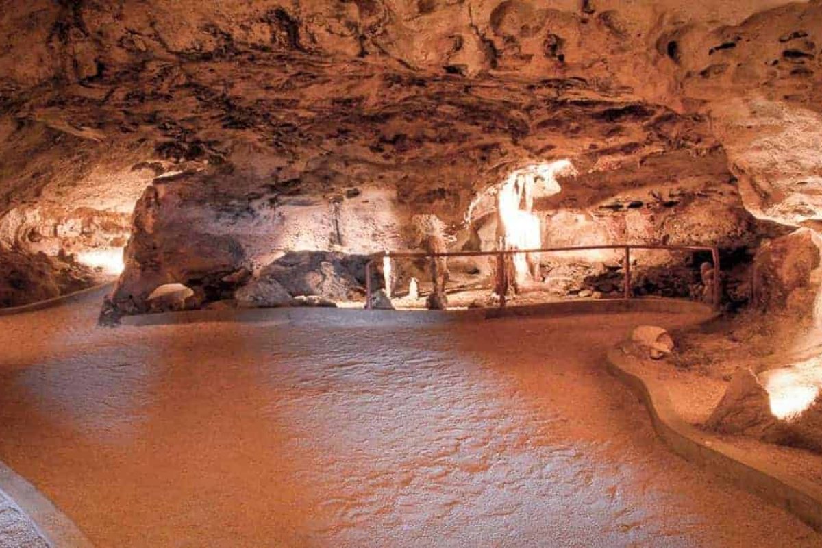 Willemstad-Turtles-Flamingos-Hato-02