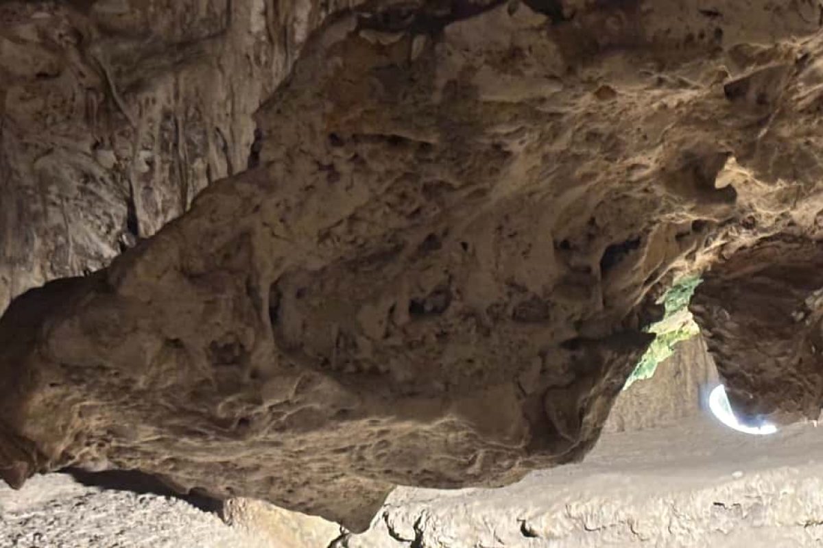 Willemstad-Turtles-Flamingos-Hato-03