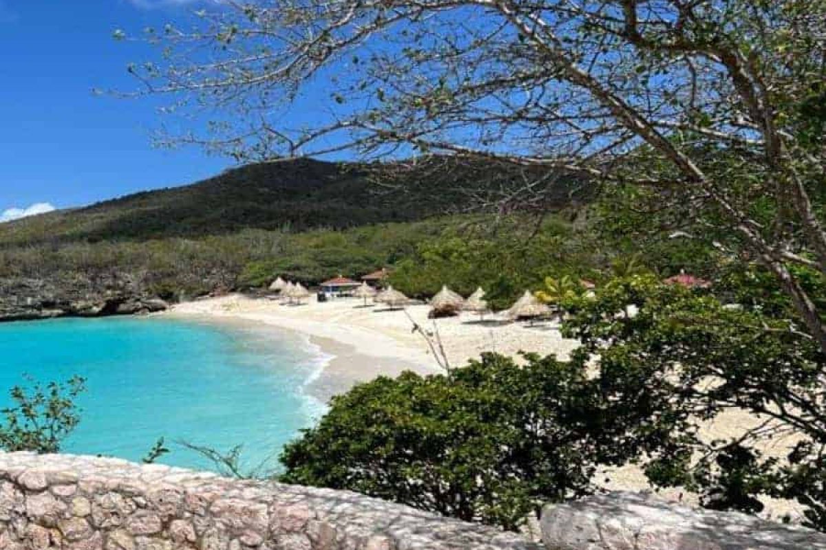 Willemstad-Turtles-Flamingos-Hato-04