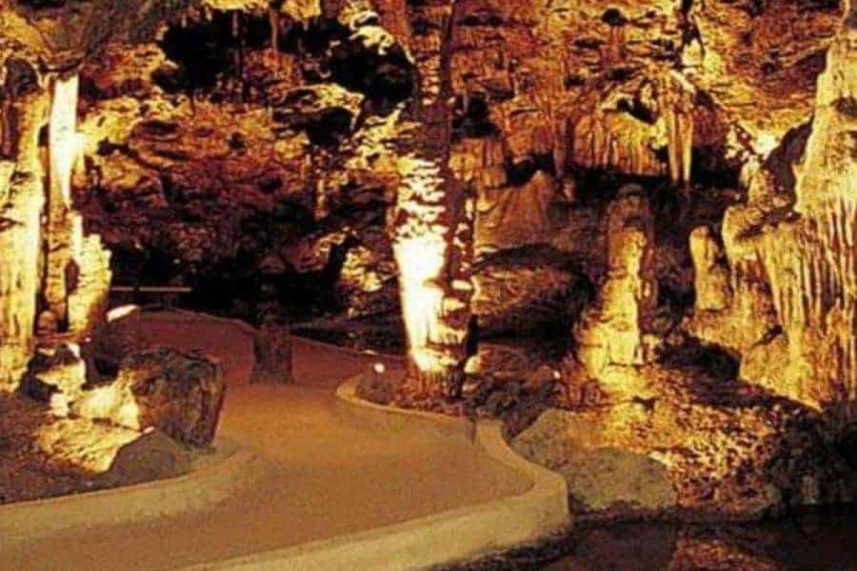 Willemstad-Turtles-Flamingos-Hato-06