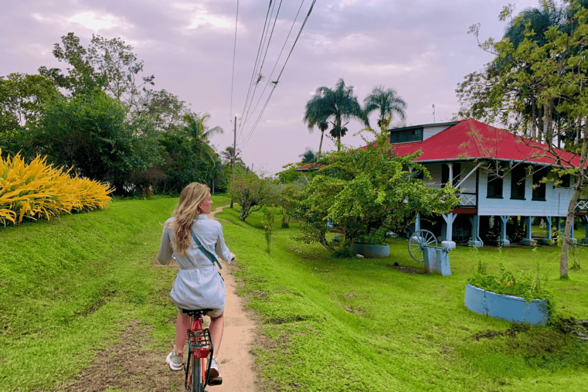 X-Bike-Tour-Rust-_-Work-1