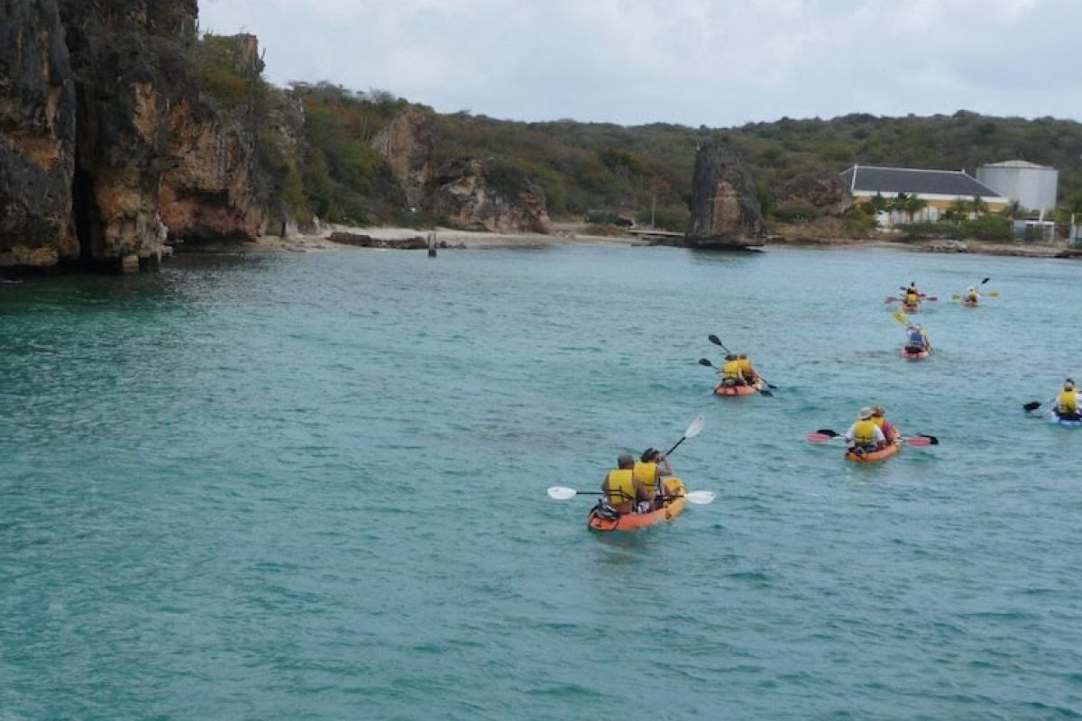 a2b69cdf-258f-4b83-8ad2-b69e742c6e44