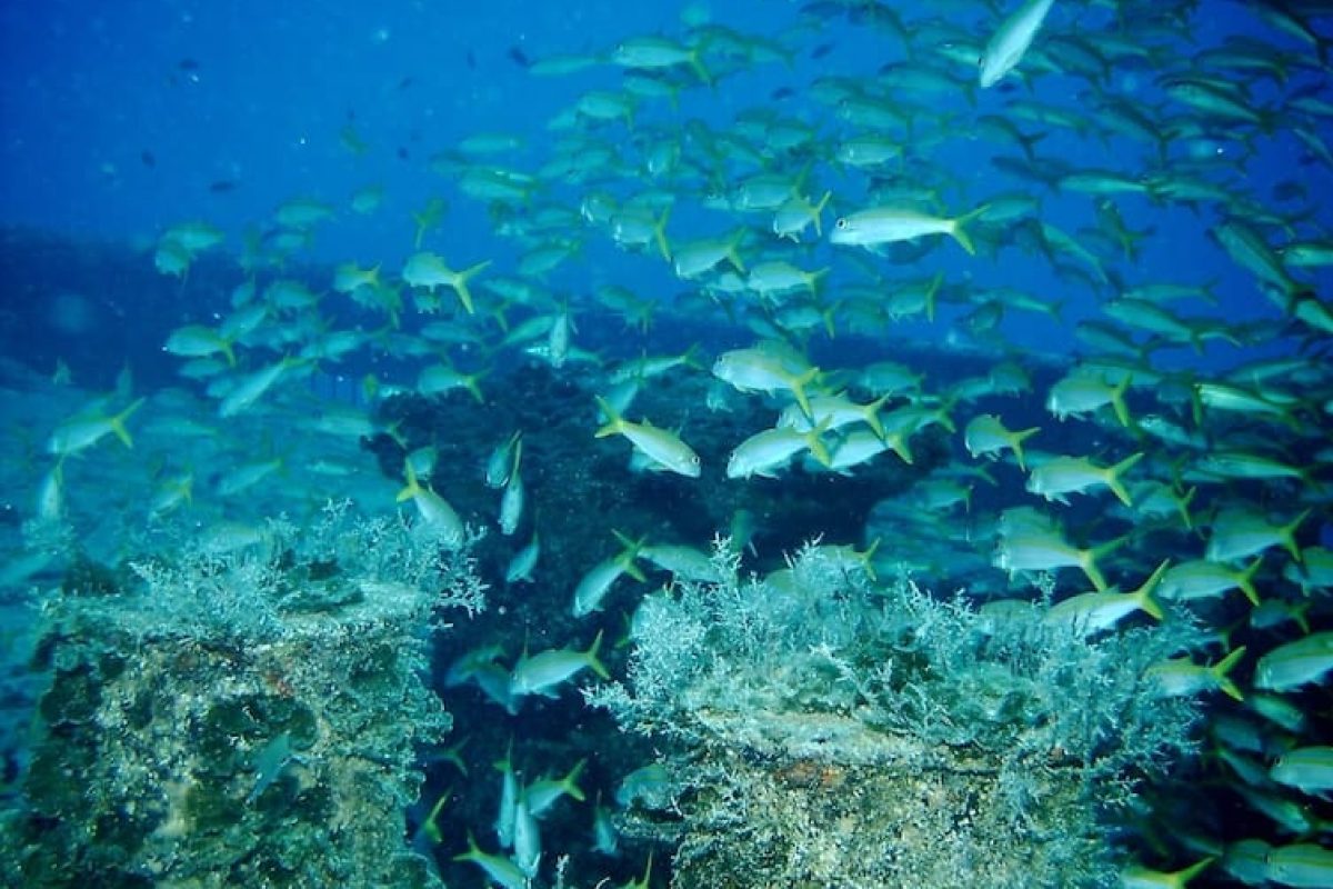 a37c3813-24f4-49e1-a823-9bb73f381829