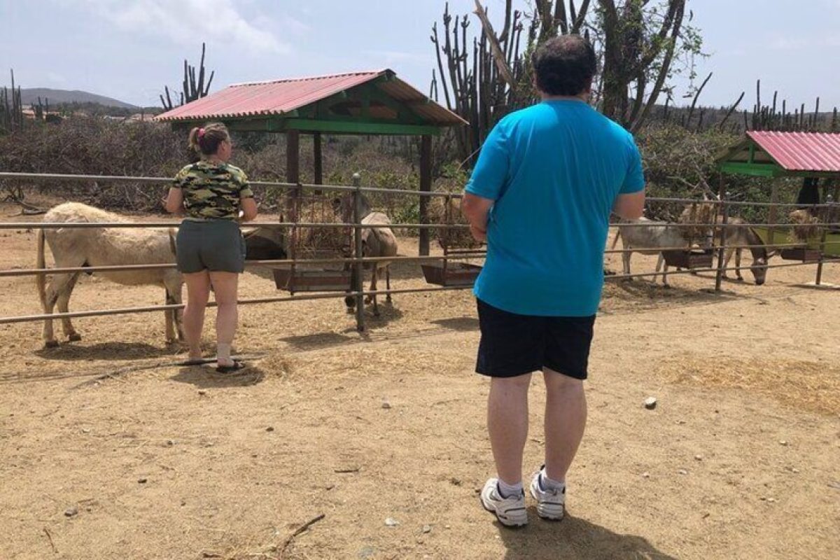 A4E0CFDE-6192-401A-A448-6DBB51B8EBA3