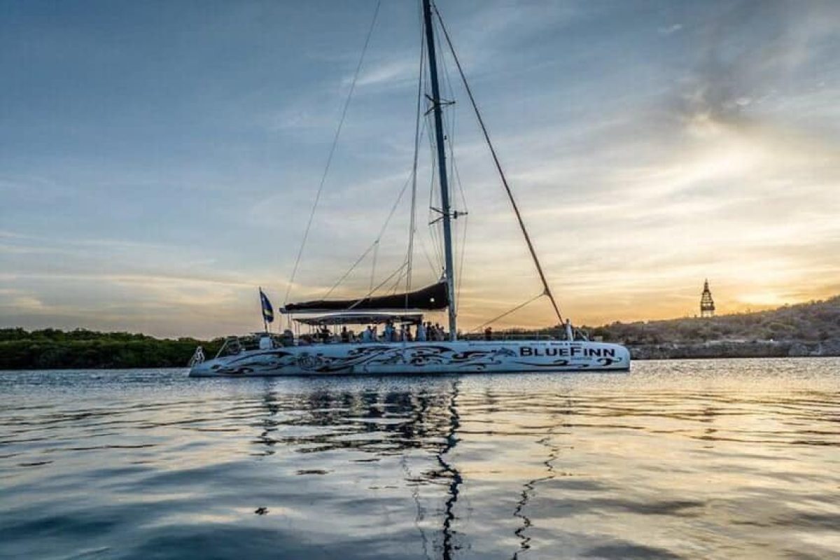 A5032DD1-43EA-4908-9CC9-D438E889B313