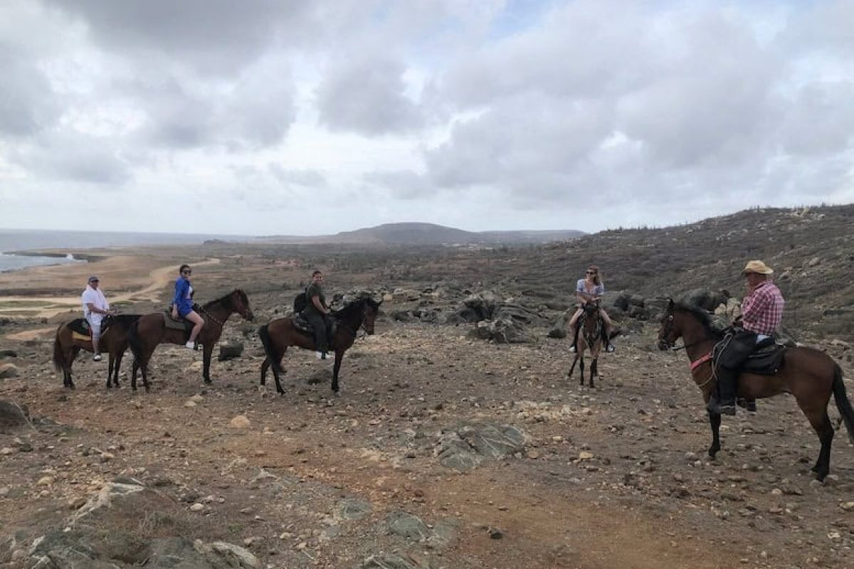 A7253BFA-BF63-4664-8C52-ADC381BECD55