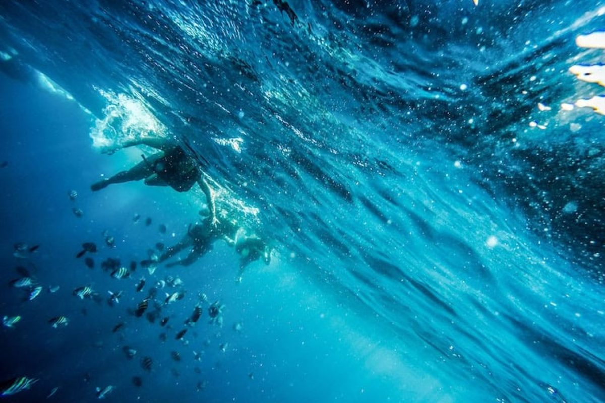 A85F4720-4C54-4B0F-BA38-93AF2EBDA54D