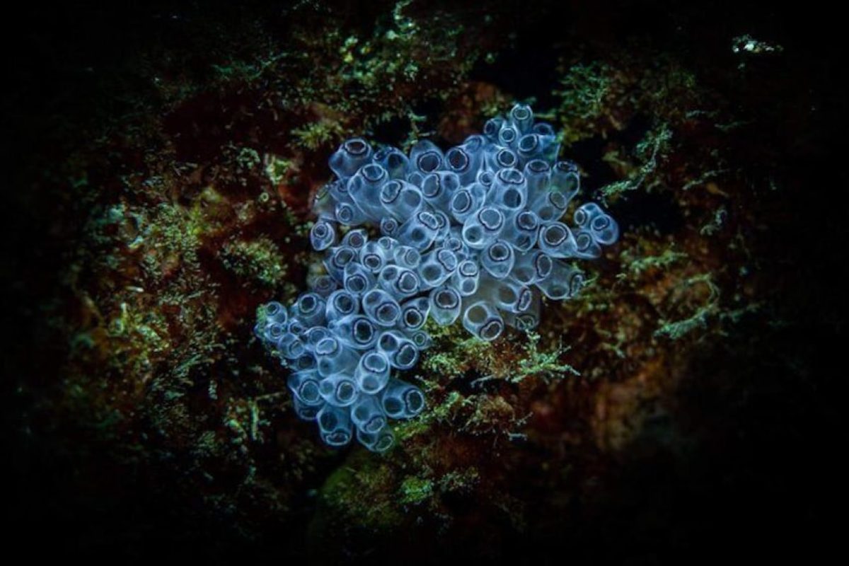 AB9522D8-D15F-4DFD-814B-DEA3E160FA11