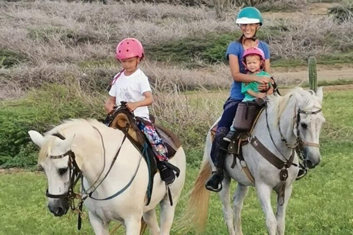 aba1fe3a-dd69-4dec-9f74-ab51ec239a09