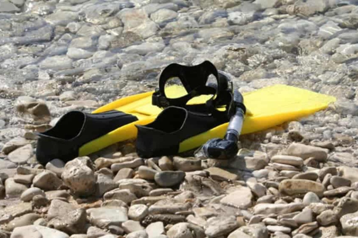 B2B0034E-E25B-4F8A-BAA6-C306BDC790B