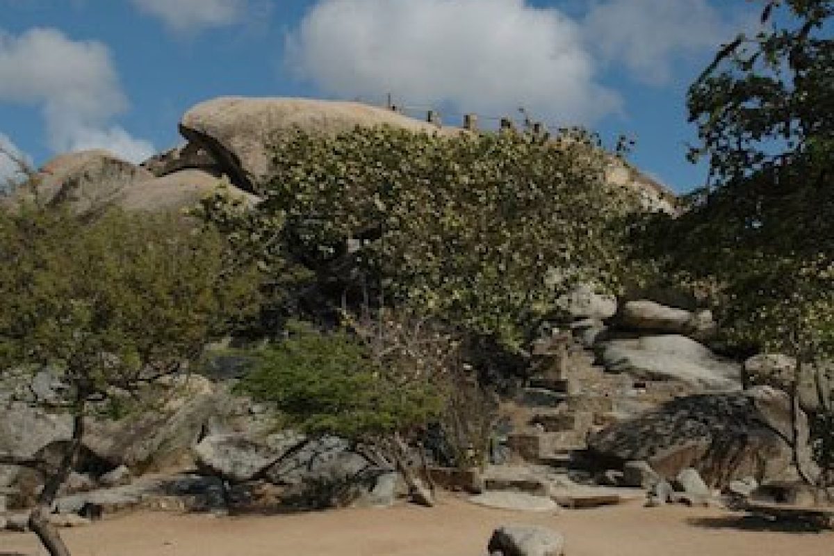 B5DFFFF-15B2-48ED-9E16-8F7D1C268AE0