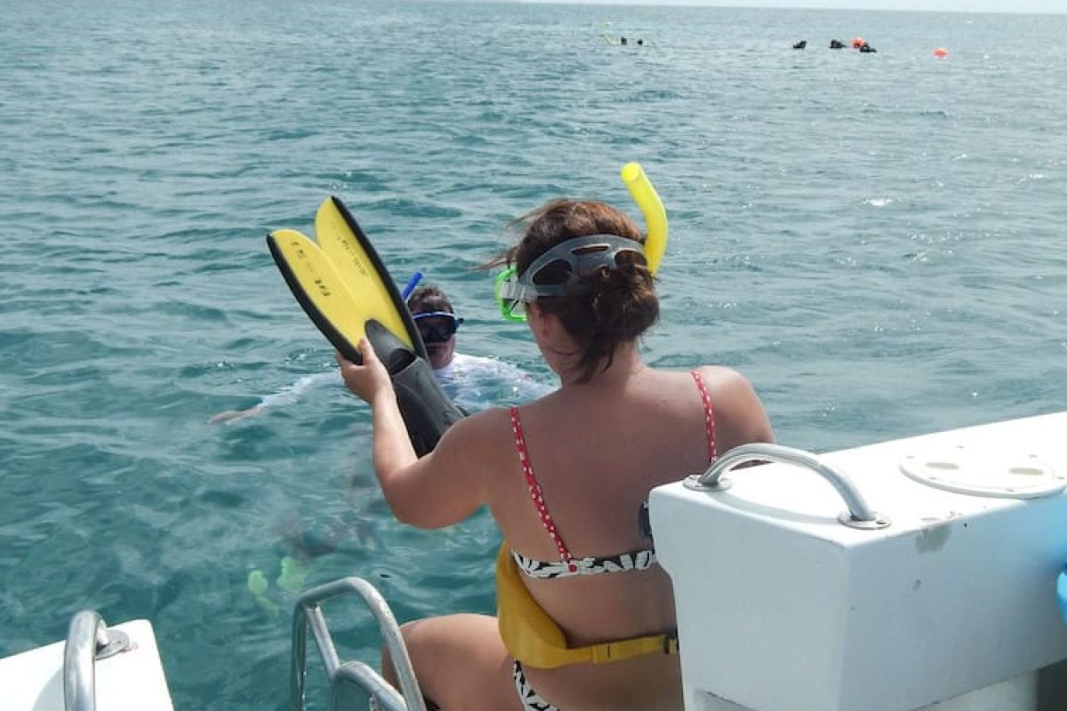 b5f92632-f7e6-4b88-b774-514b136e634c