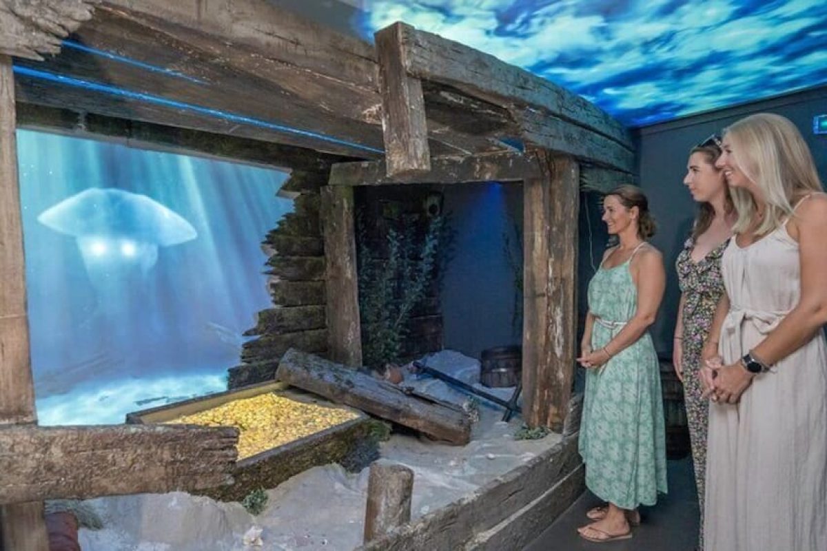 B881CB48-3D69-4FFC-AF16-86509B4DE161