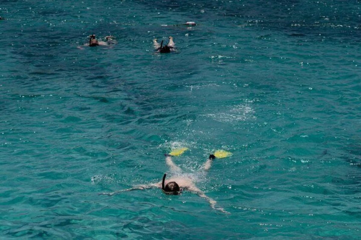 BB1B5E99-C320-48E0-8BD9-5Fed59CD45B1