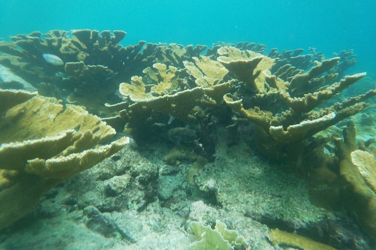 bd2f9f33-6a3d-4381-bb00-6e790515c47a