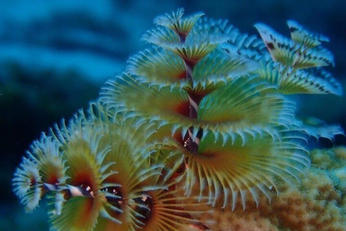 C00FAEE0-A272-4C8D-B662-B8432C6990E4