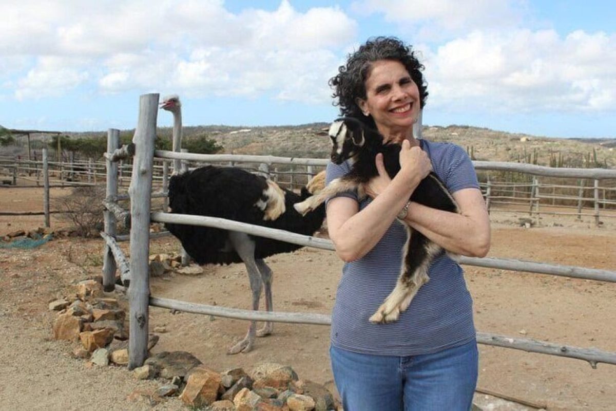 c6c3ac66-315d-4d45-8fb9-a3a8e3bdee6d