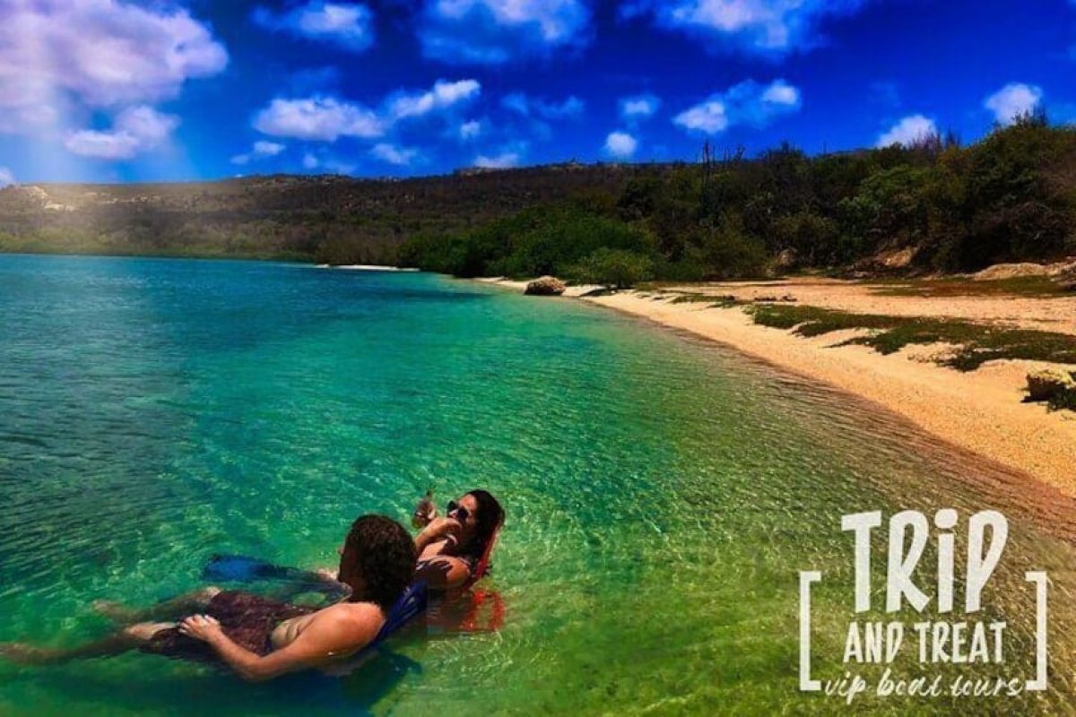 C84920FE-10D0-439C-B0A4-FD9603FB85E1