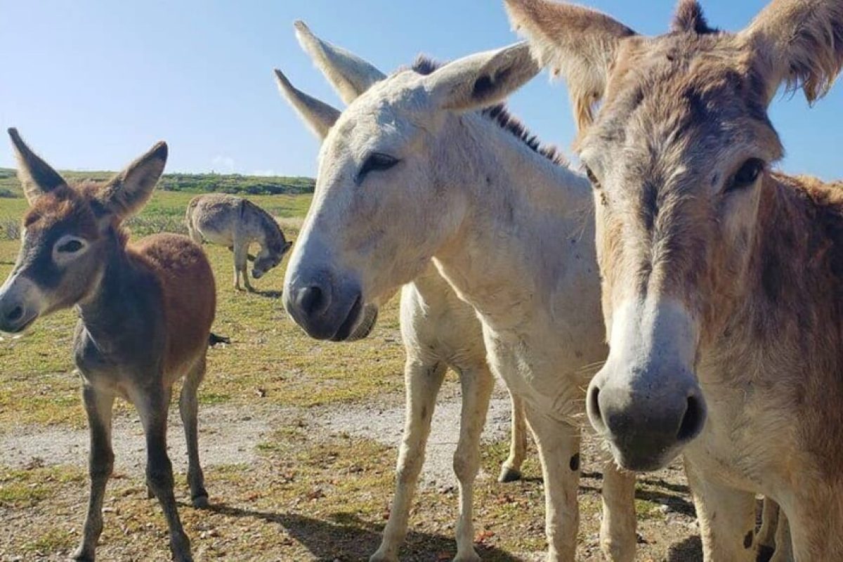 c8d6a6f6-6bec-4f37-aefa-ddef34669c1c