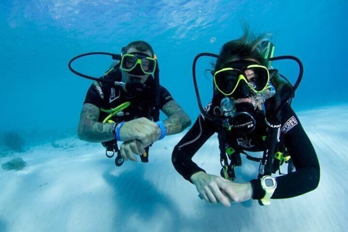 ca76be8f-fd8e-4363-9447-b7d0fa17c44c