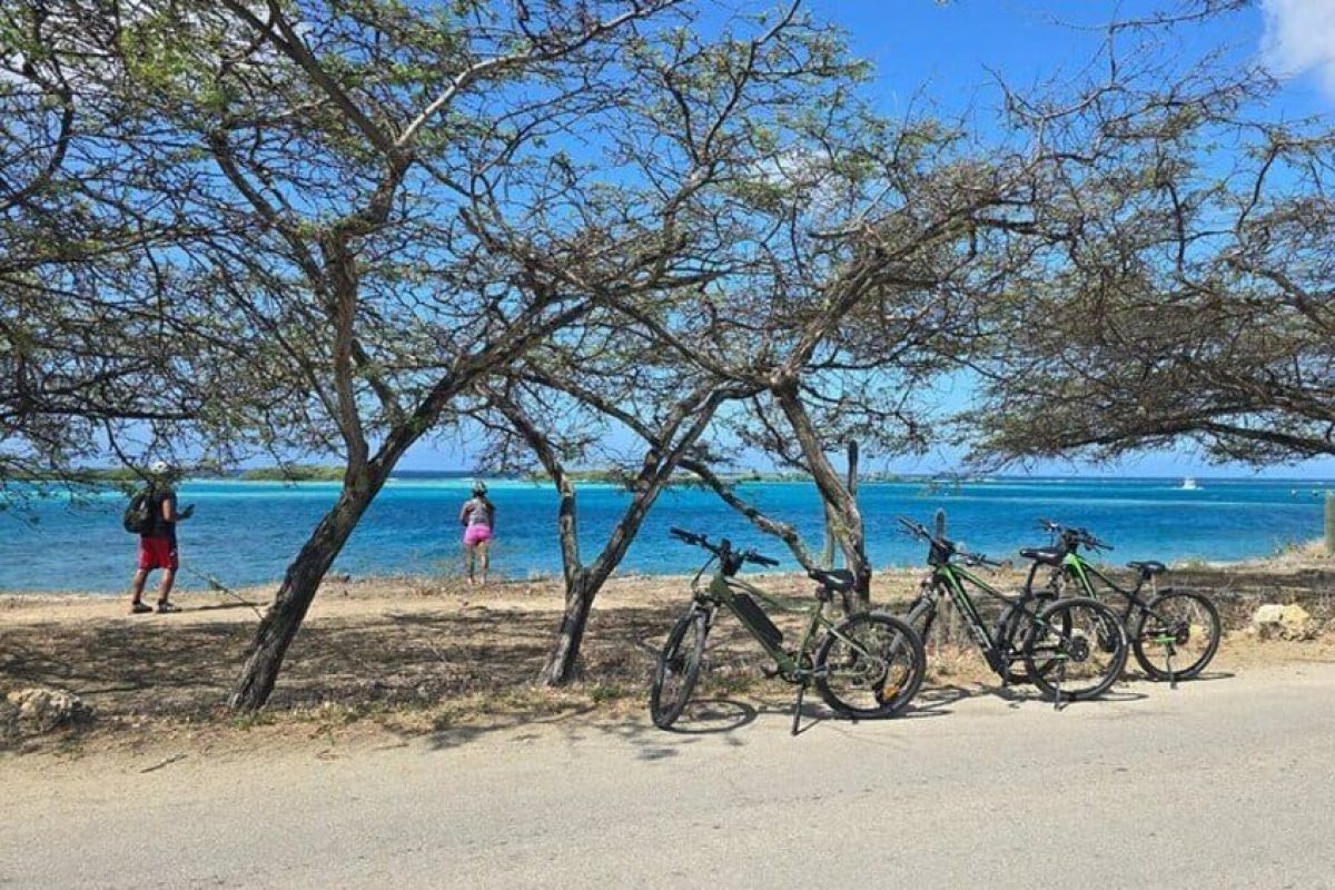 cbd8f85a-524e-4cd2-80c8-329247b51ee8