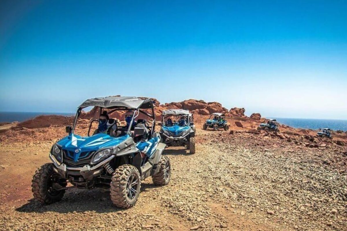 cc0f4f55-1bb8-43ce-a40f-d3fe2c24d15a