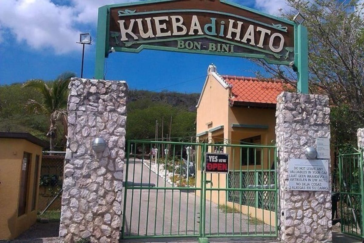 ce1a2e8c-5ae8-4e04-a4e2-c6bf244bff9e