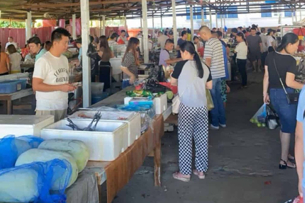 Culture Market Orange Travel