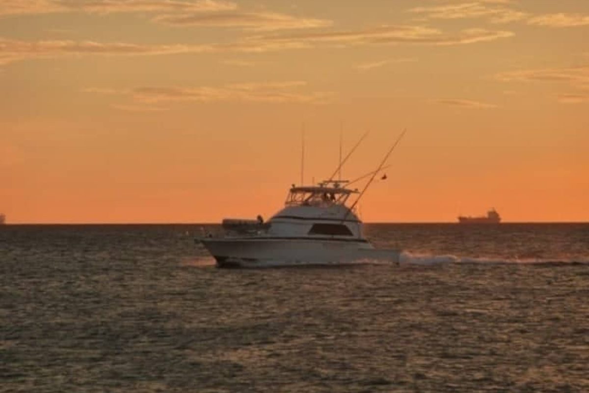 D074124E-B96A-4D21-89C1-AA27FE262FE0