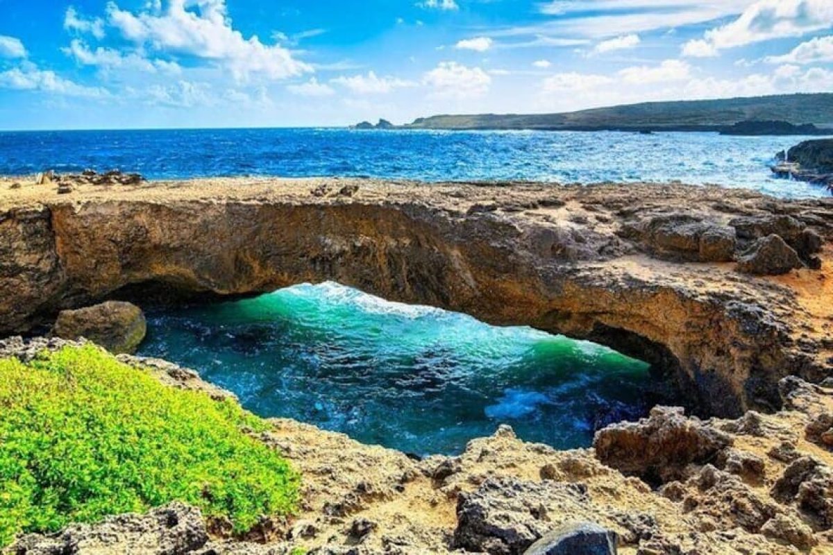 d0b5f770-dff1-410e-9c0f-9eaafb2c48aa