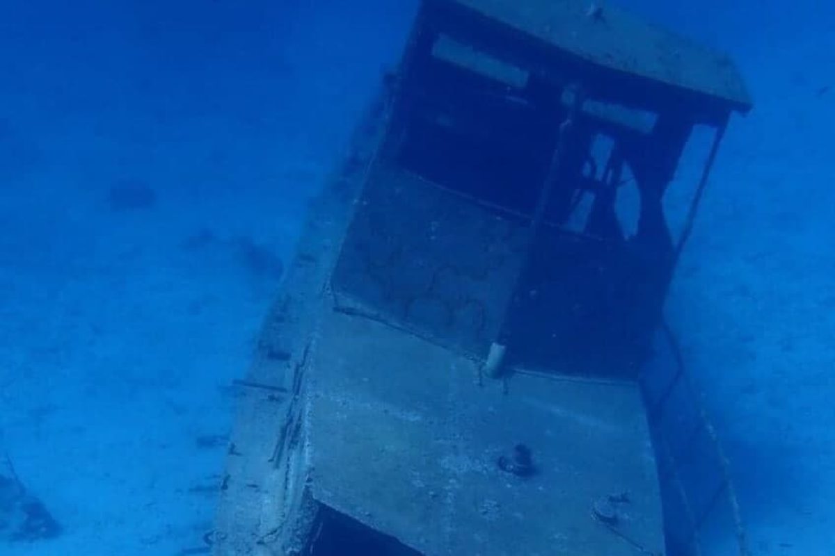 d30ace78-ab55-472b-90ea-f069e8a55e81