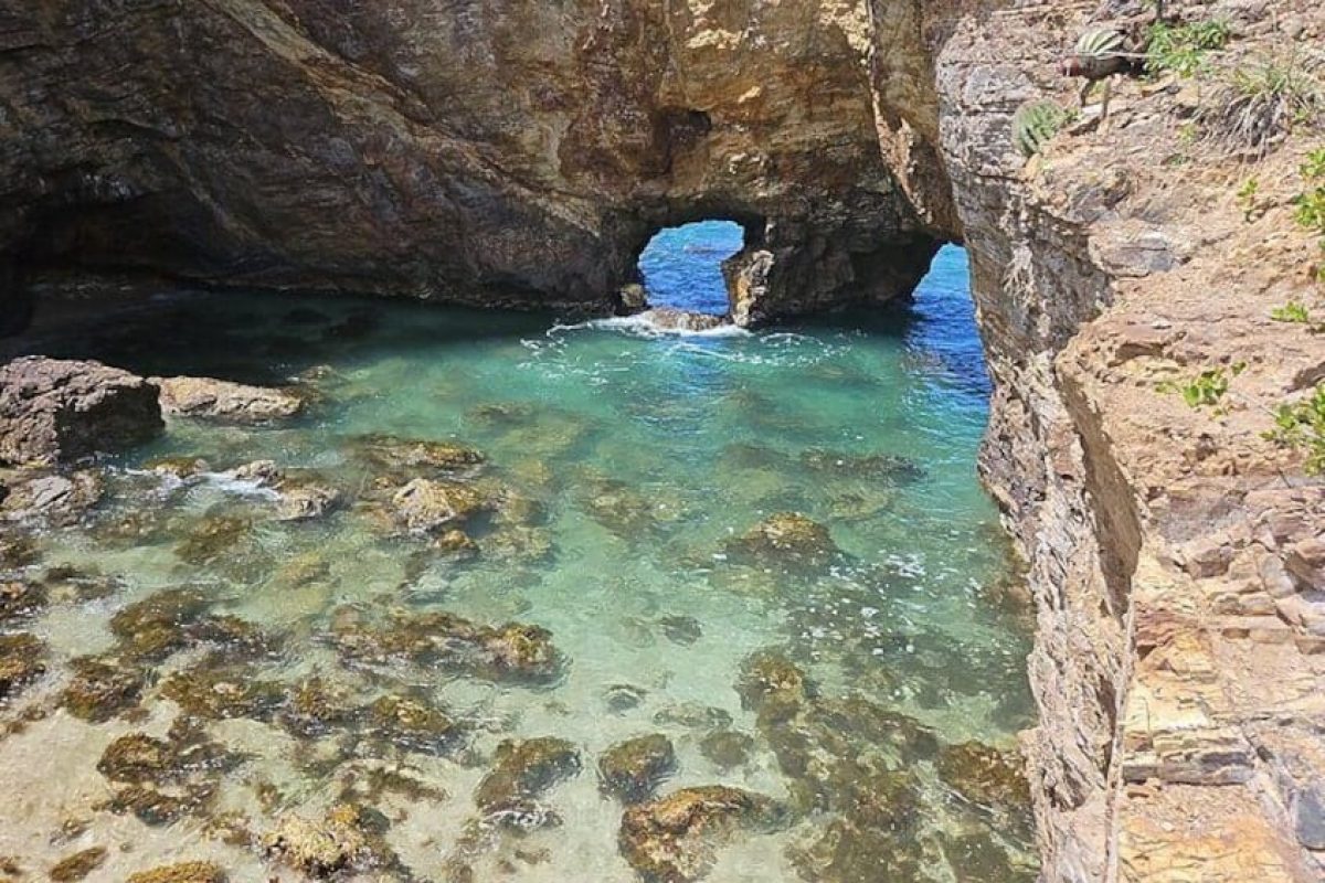 d313ca89-57c2-49aa-b7e2-7b8a413b7d2e