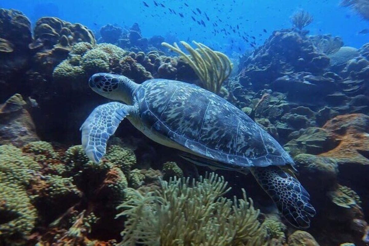 d366dd84-8a26-4e68-b826-cbfe719d35ee