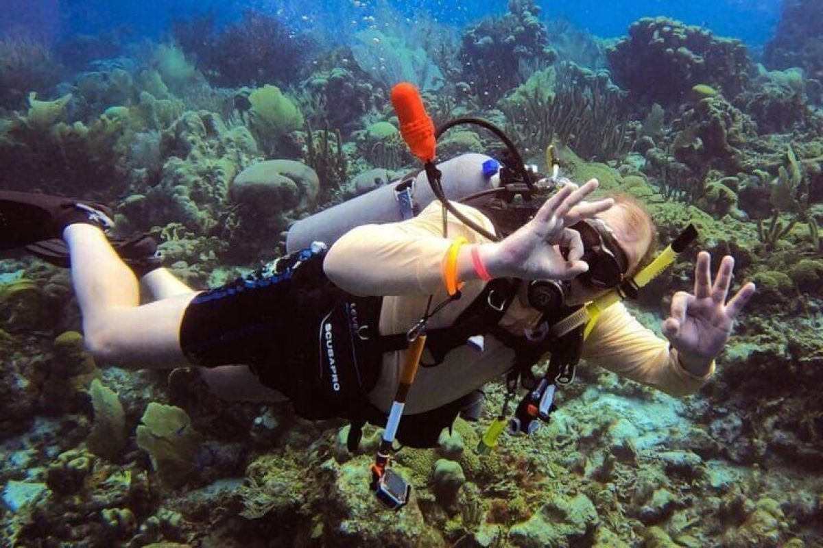 d3c72a2e-9824-4679-9266-d43e7be7fbb0