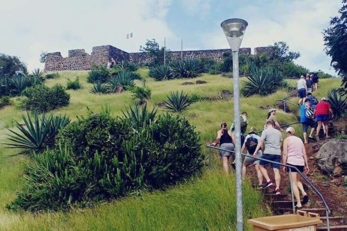 d4b6d30a-195d-4f88-80c2-ef7f21313da7