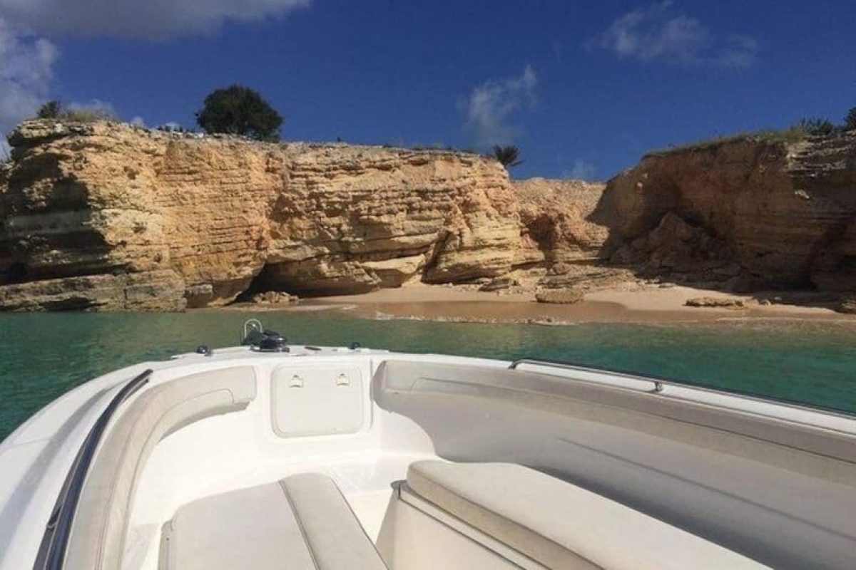 D72766C7-E006-45BF-8053-9E3FC3279D38