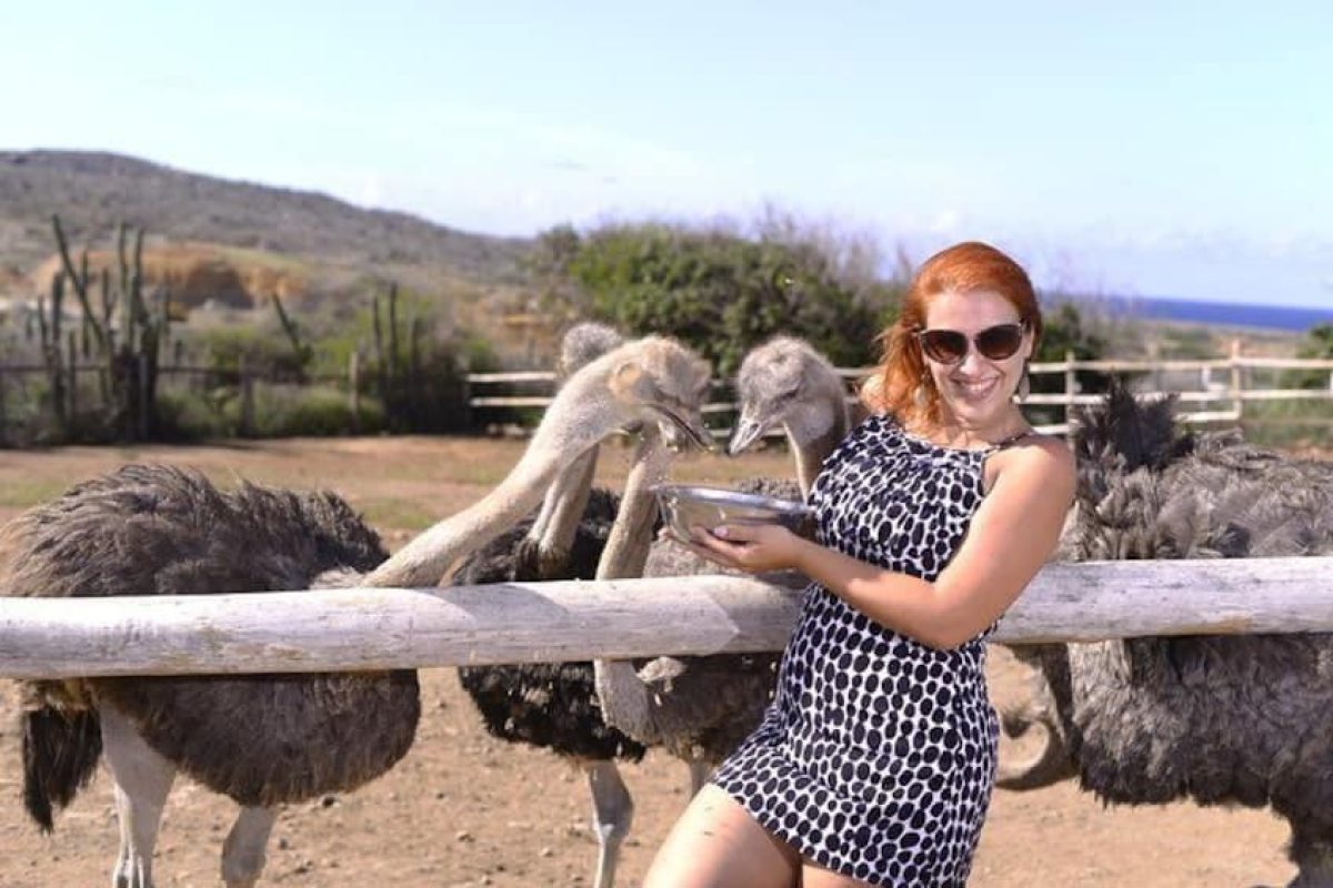 D80B009C-1383-45C6-B55C-E8CE2F390CA0