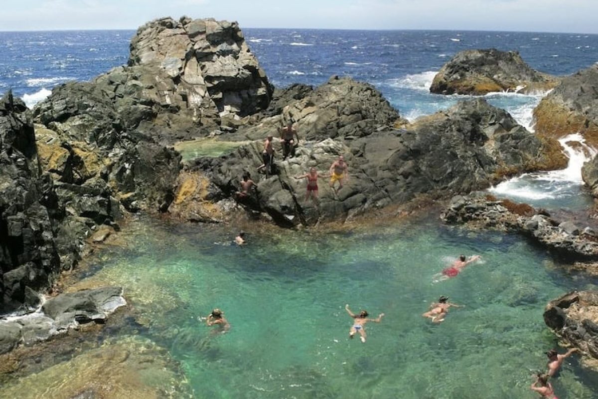 d8e0c1a1-5e9e-461e-9a6b-04e17c142980